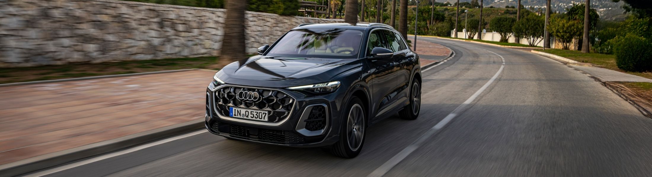 dunkler Audi Q5 fährt auf einer kurvigen Straße