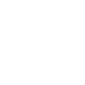 Icon Schraubenschlüssel und Zahnrad