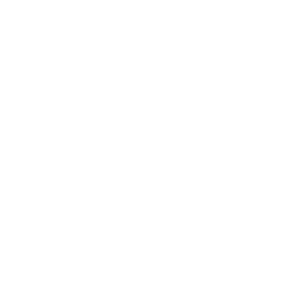 Logo Motor-Nützel N