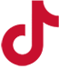 Tik Tok Icon